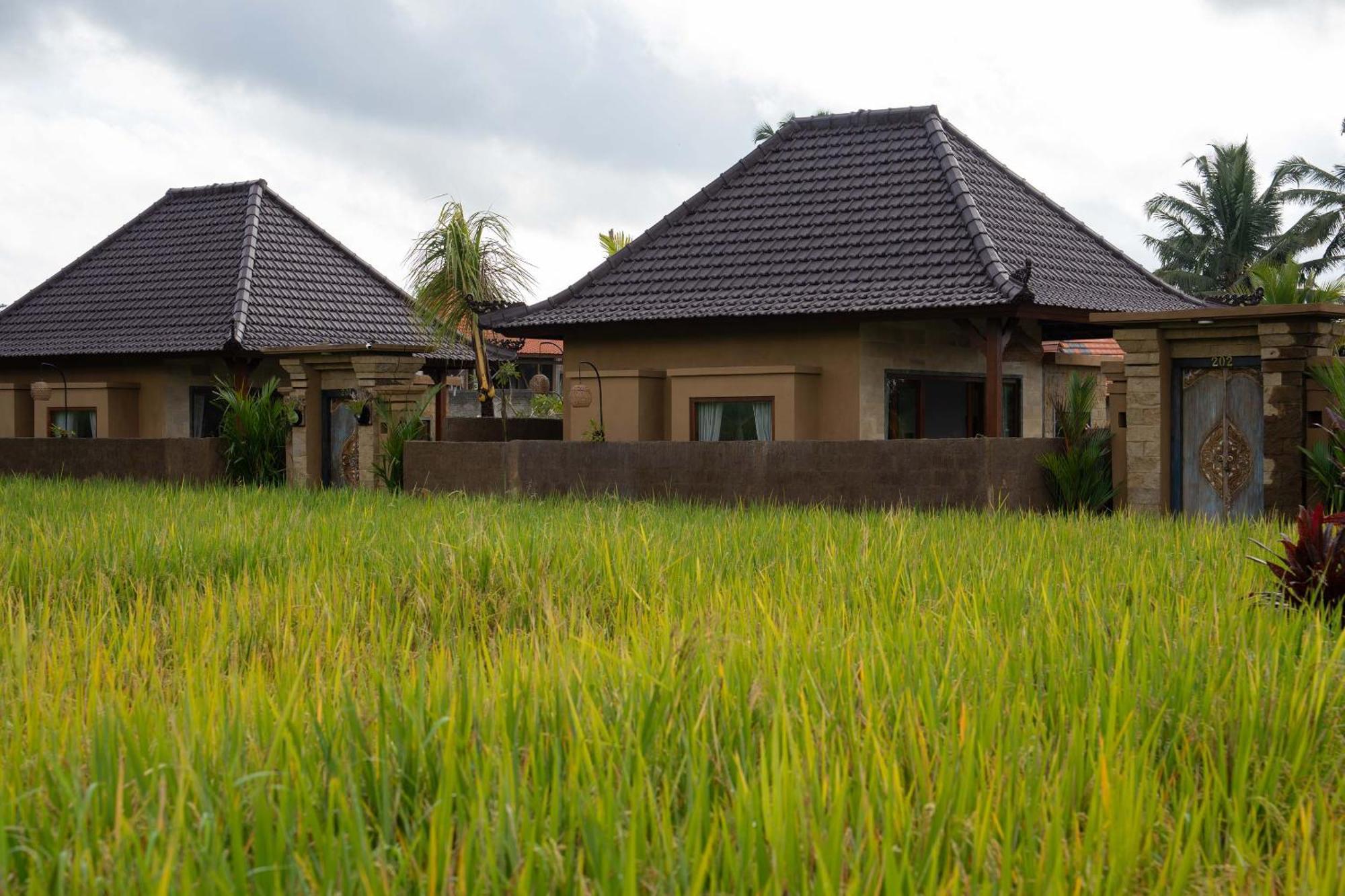 Sawah Sebatu Villa أوبود المظهر الخارجي الصورة