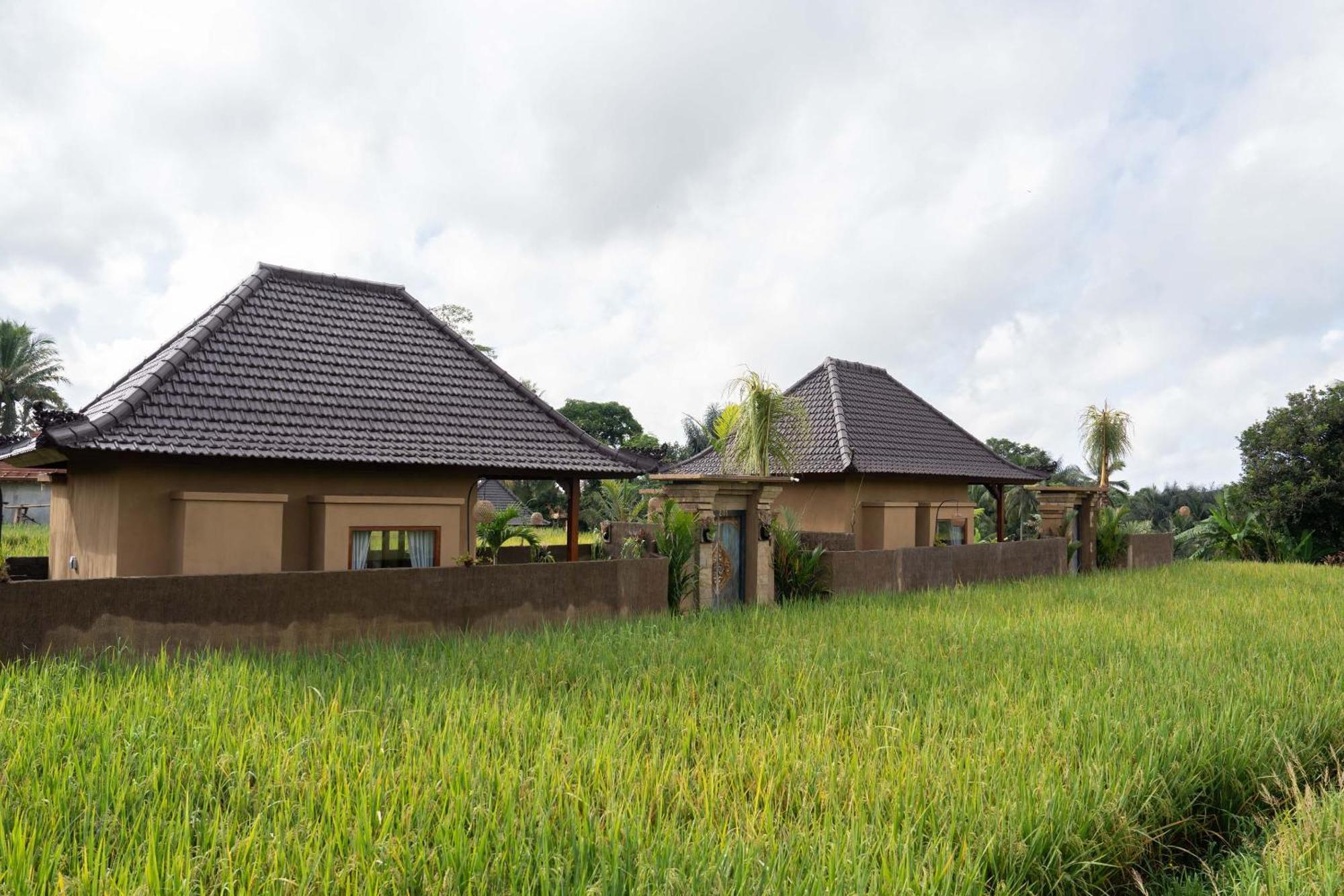 Sawah Sebatu Villa أوبود المظهر الخارجي الصورة