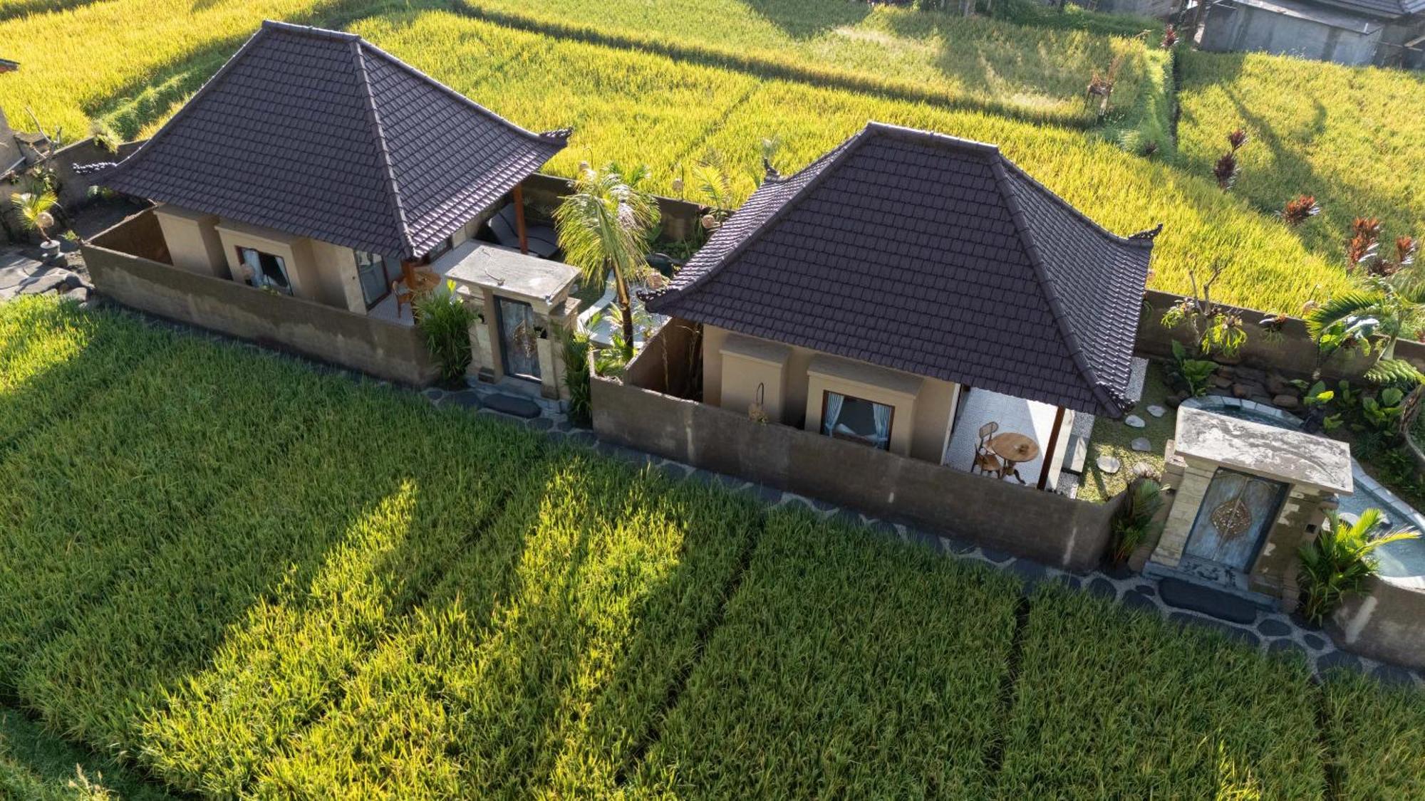 Sawah Sebatu Villa أوبود المظهر الخارجي الصورة