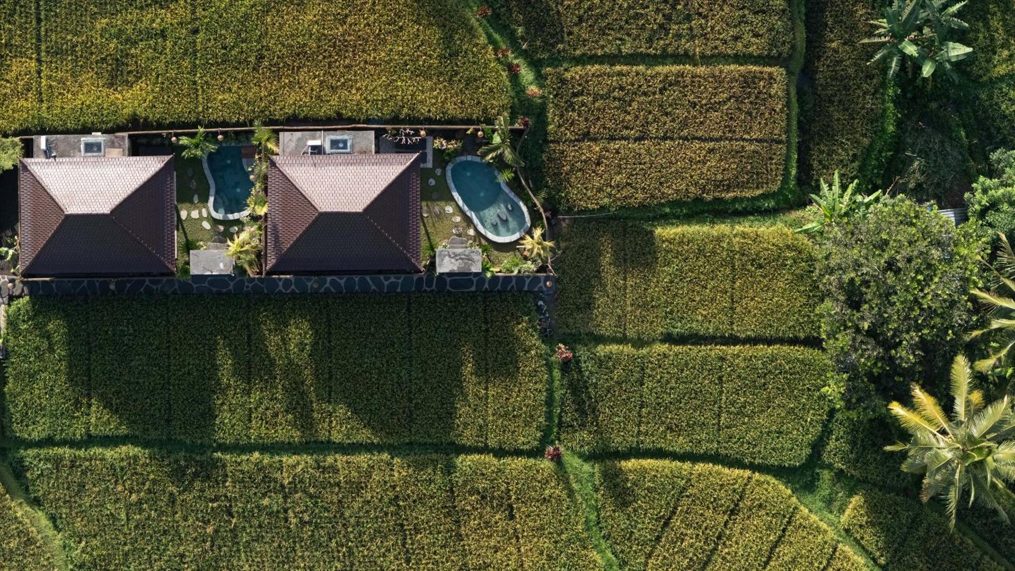 Sawah Sebatu Villa أوبود المظهر الخارجي الصورة